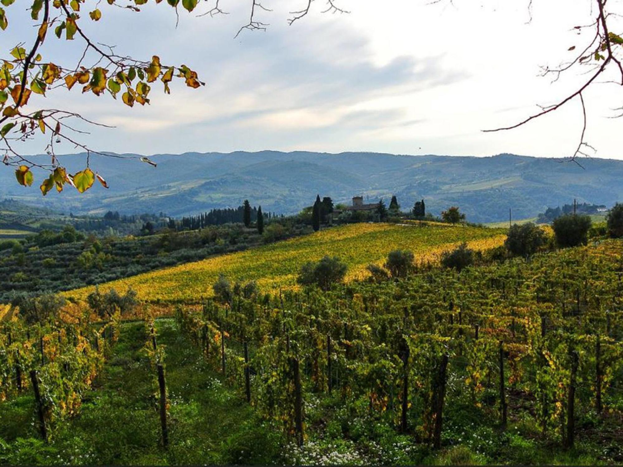 Holiday Home La Torre By Interhome Lucolena in Chianti Exterior photo